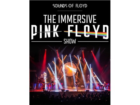 The Immersive Pink Floyd Show